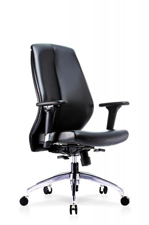 EDEX ERGONOMIC MESH OFFICE CHAIR Rostrum Selangor, Malaysia, Kuala Lumpur  (KL), Petaling Jaya (PJ) Supplier, Suppliers, Supply, Supplies